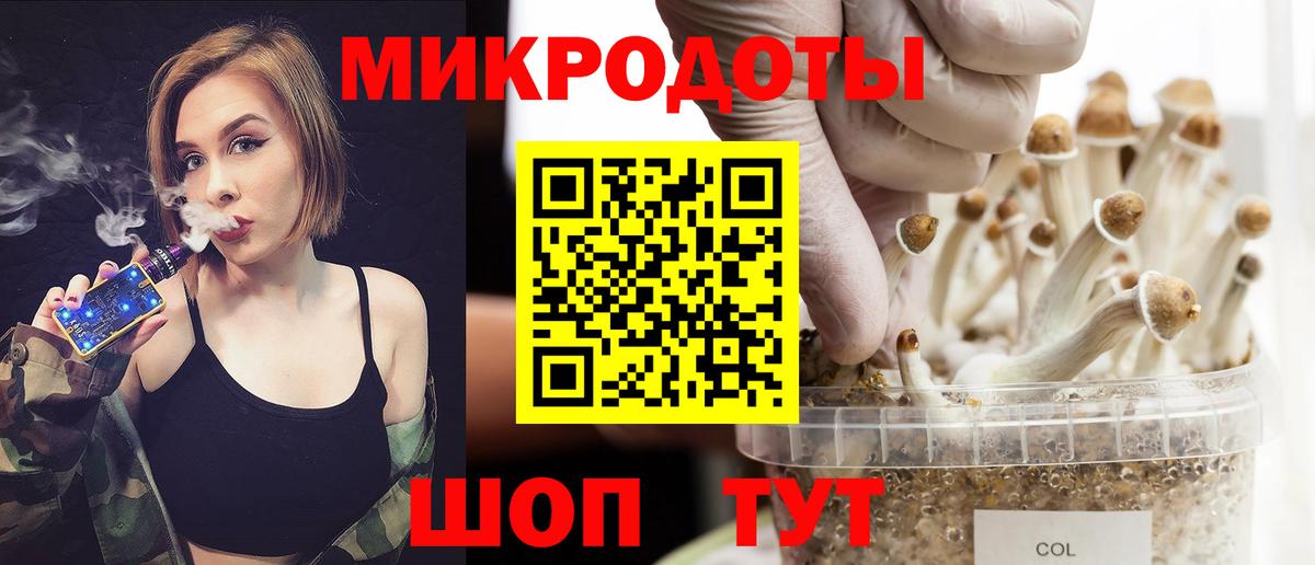 Галлюциногенные грибы Psilocybe Новодвинск